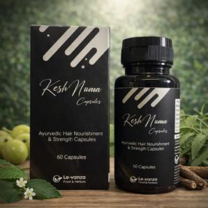 KESH NUMA OIL