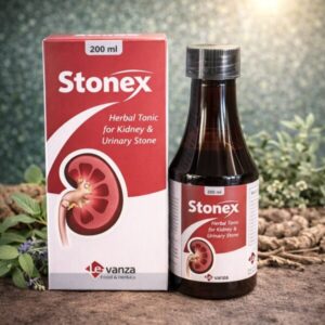 STONEX